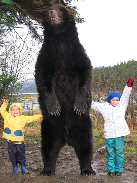 Our Hoonah bear loves visitors!